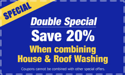 Online Special