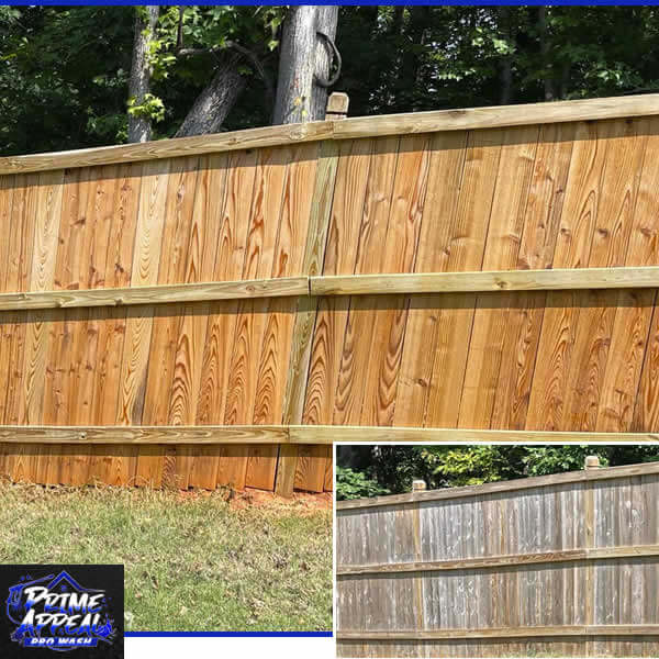 Fence Cleaning Georgia