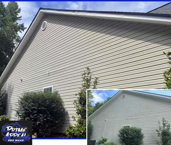 Residential Pressure Washing