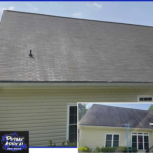 Roof Washing Georgia
