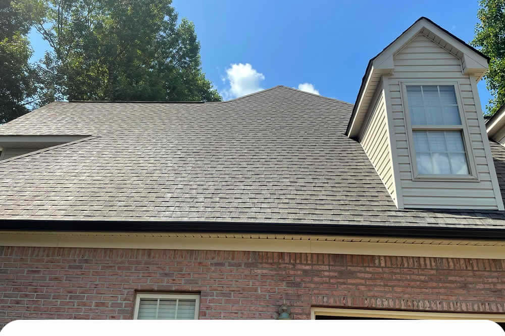 Roof Washing Services GA