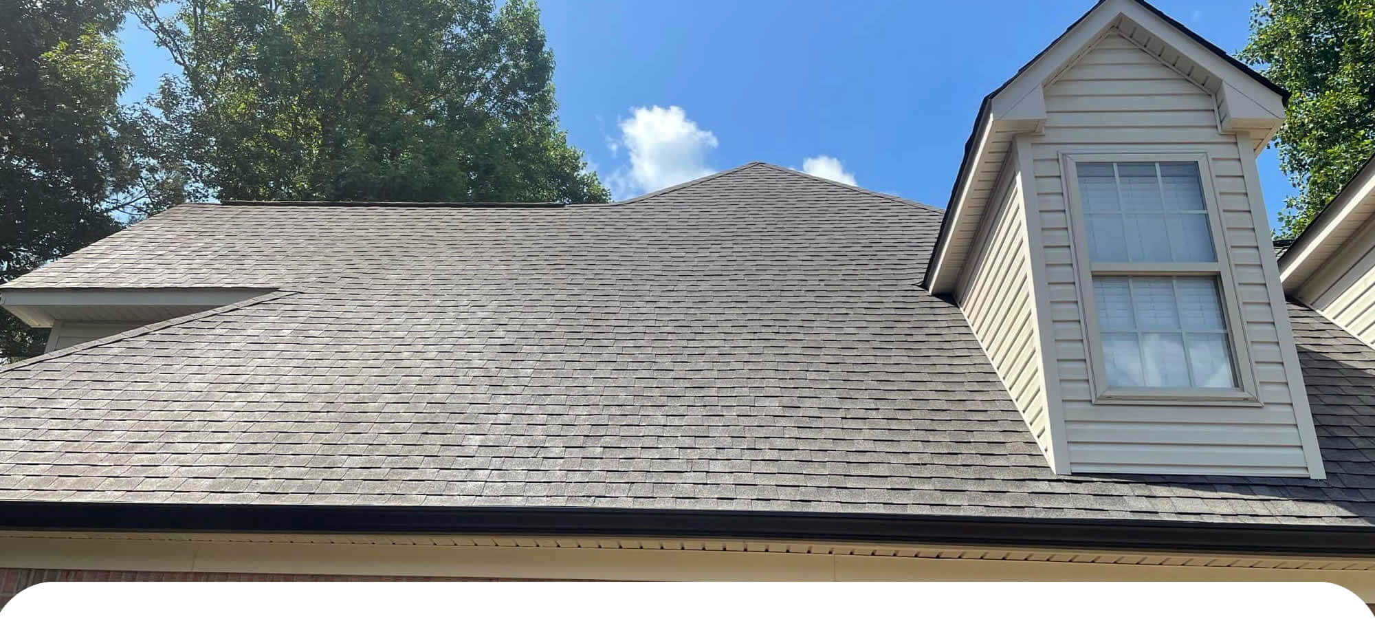 Roof Washing Services