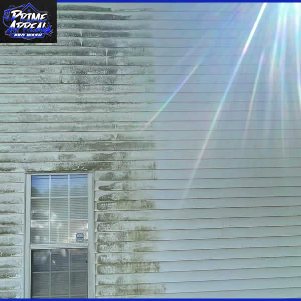 Soft Pressure Washing Services GA